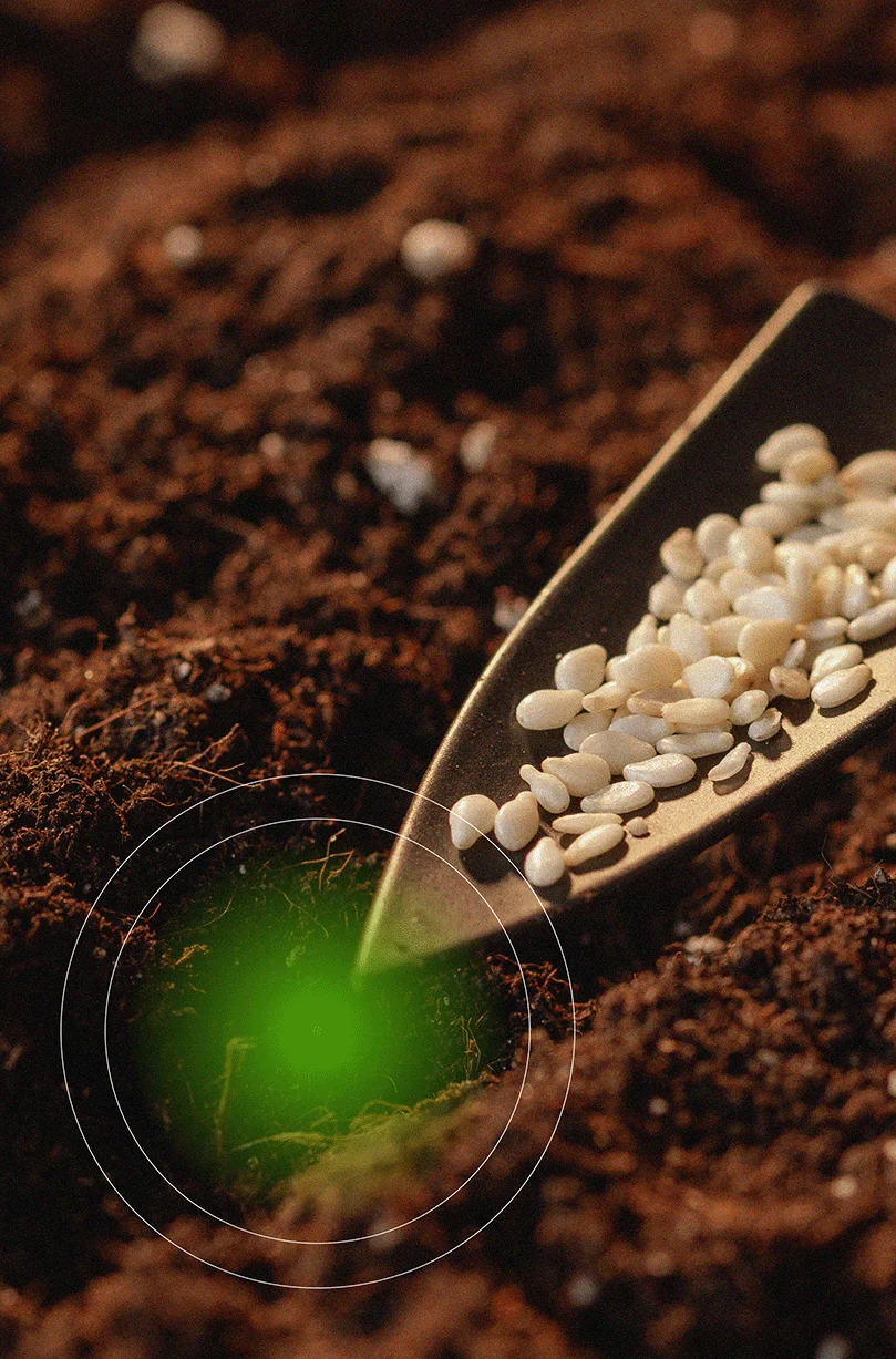 Misión y Visión | PROVALAB