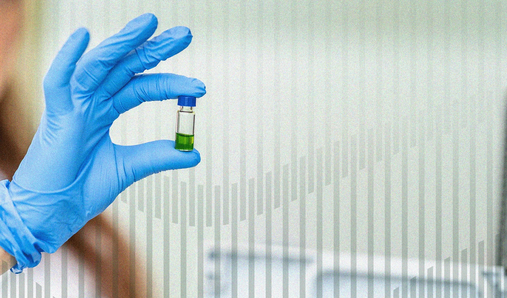 LIDERAZGO TÉCNICO CON EXPERIENCIA REAL | PROVALAB