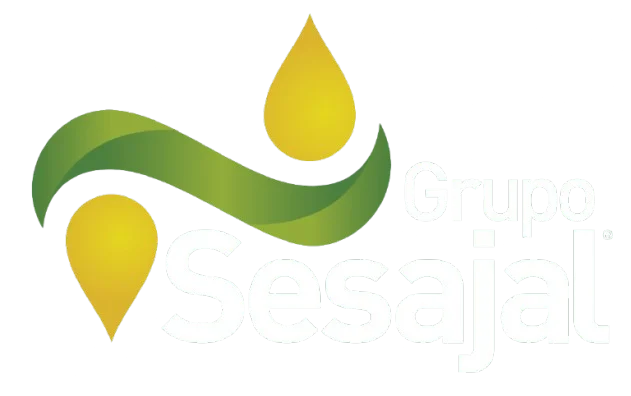 Logo Grupo Sesajal