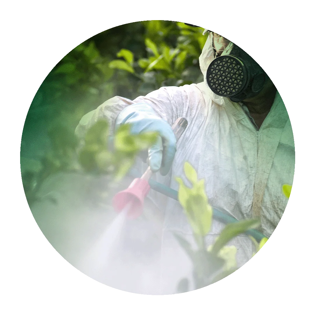 Persona con equipo de protección fumigando | PROVALAB